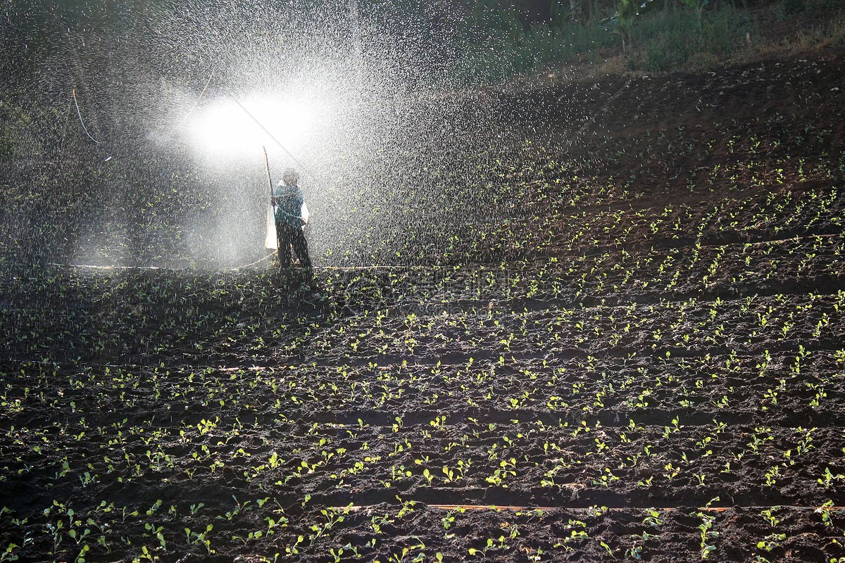 两会声音|化工园区准入、能耗指标管理