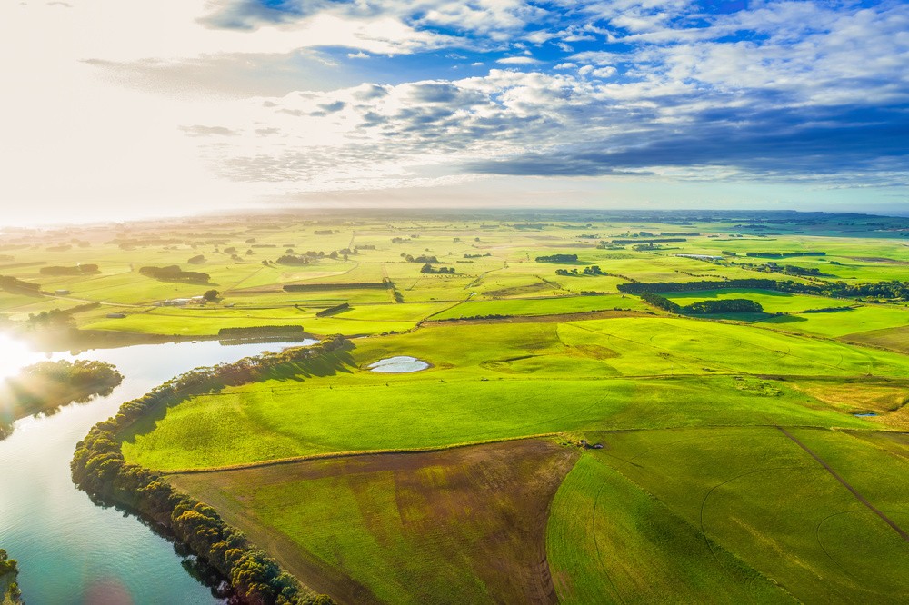 肥料是选择什么样子的好